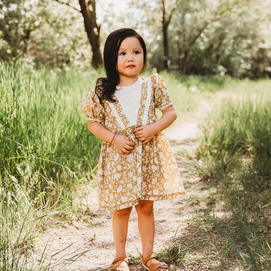 Embroidered fabric V shape Yoke Dress